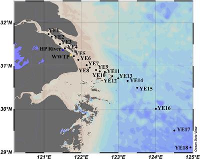 Linkages Between Optical and Molecular Signatures of Dissolved Organic Matter Along the Yangtze River Estuary-to-East China Sea Continuum